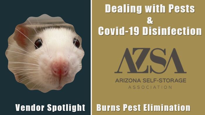 Azsa Burns Pest